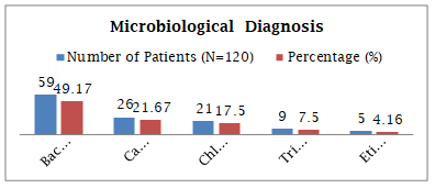 Graph 2