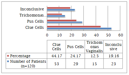 Graph 5