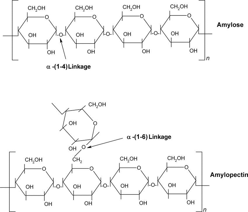 Figure 1.4